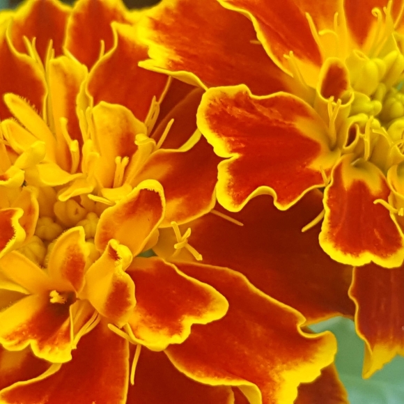 Meet your Posher, Lizanne - Picture 10 of 10